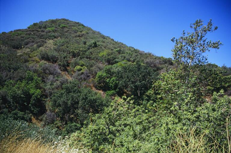 Tuna Canyon Park MRCA MRCA