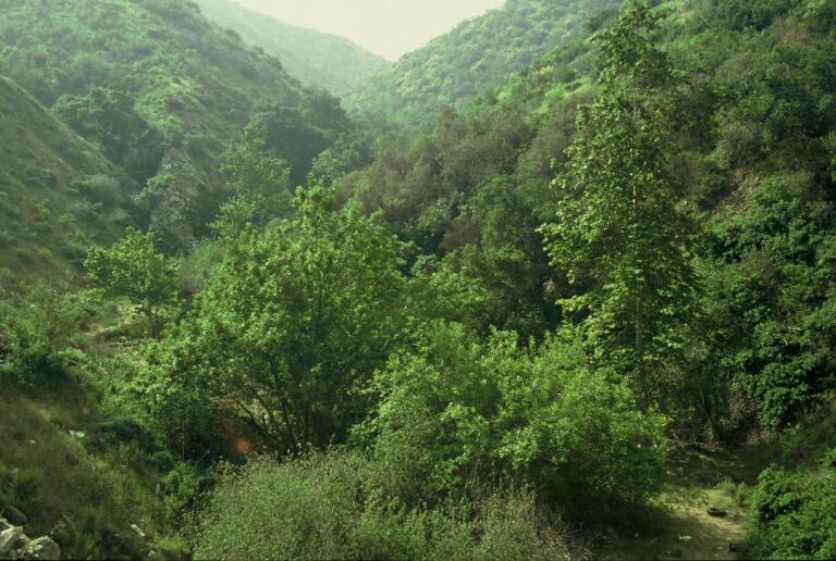 Tuna Canyon Park MRCA MRCA