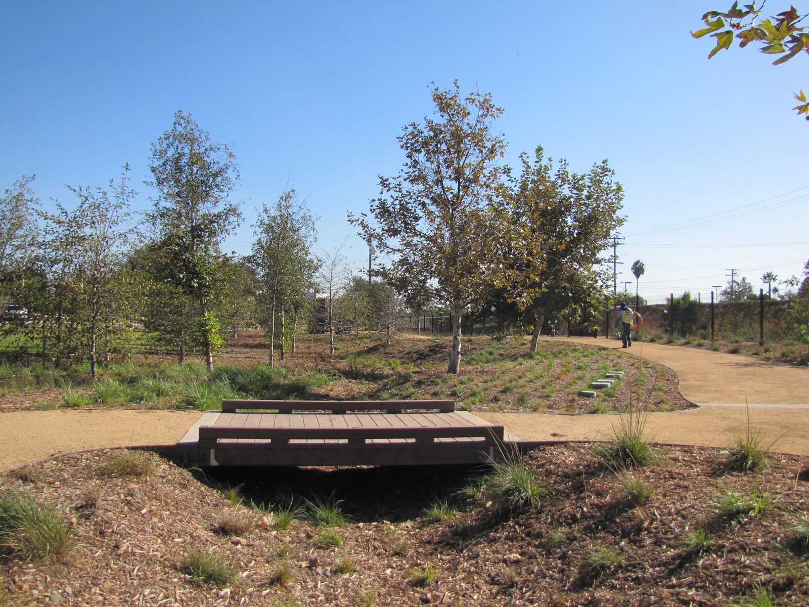 Compton Creek Natural Park at Washington Elementary MRCA MRCA