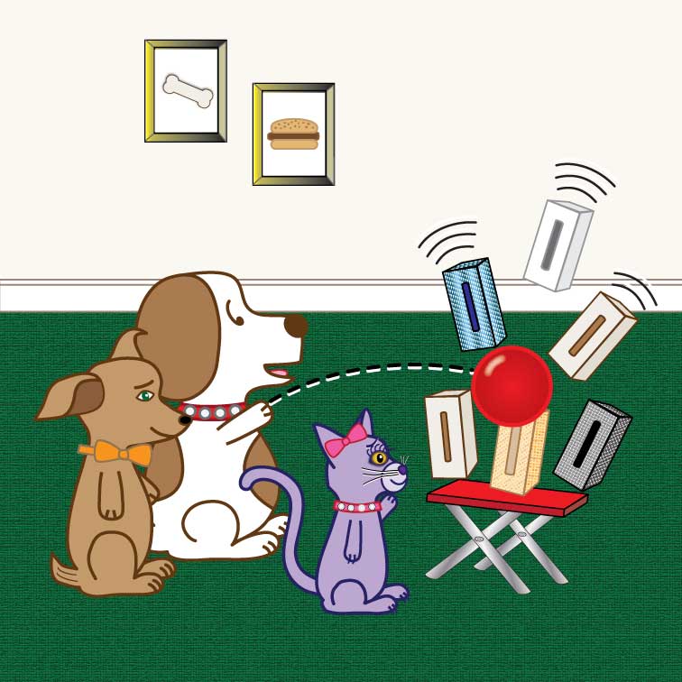 Sam Tissue Boxes Games Sam the Dog Book Series