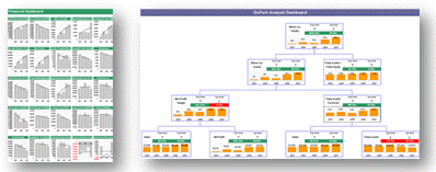 Financial Cost Analysis Ratios Reports