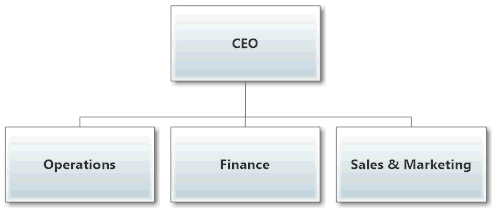 Functional Organizational Structure Example