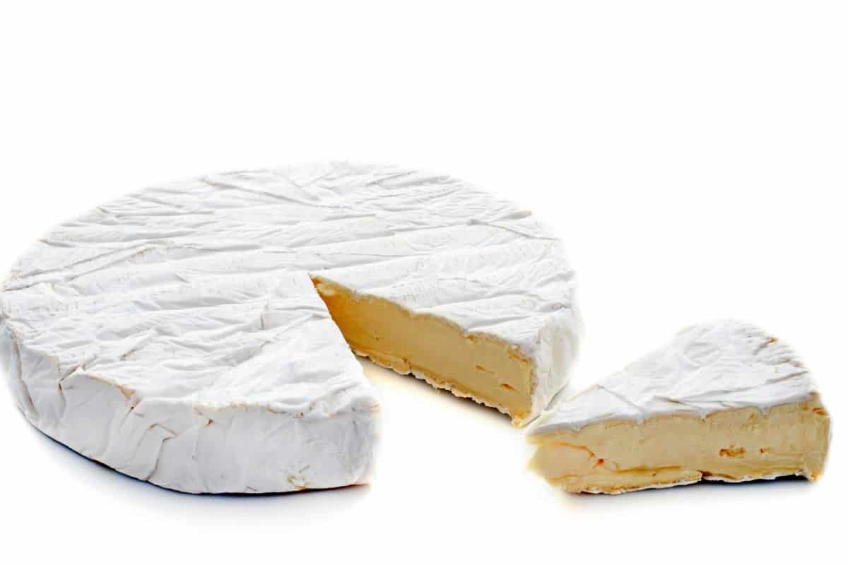 Can Dogs Eat Brie? (We Asked the Experts) Mr Dog Food