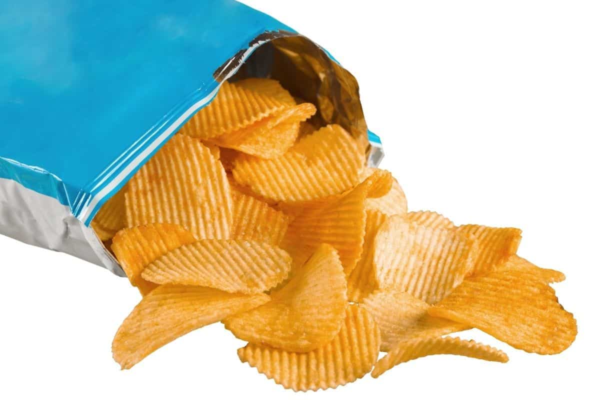 Can Dogs Eat Salt and Vinegar Chips (Read This First) Mr Dog Food