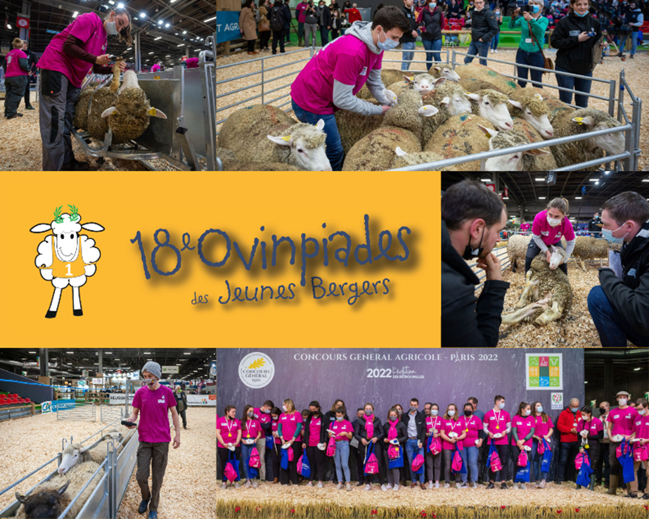 Communiqué de presse Ovinpiades des jeunes bergers Maison Régionale