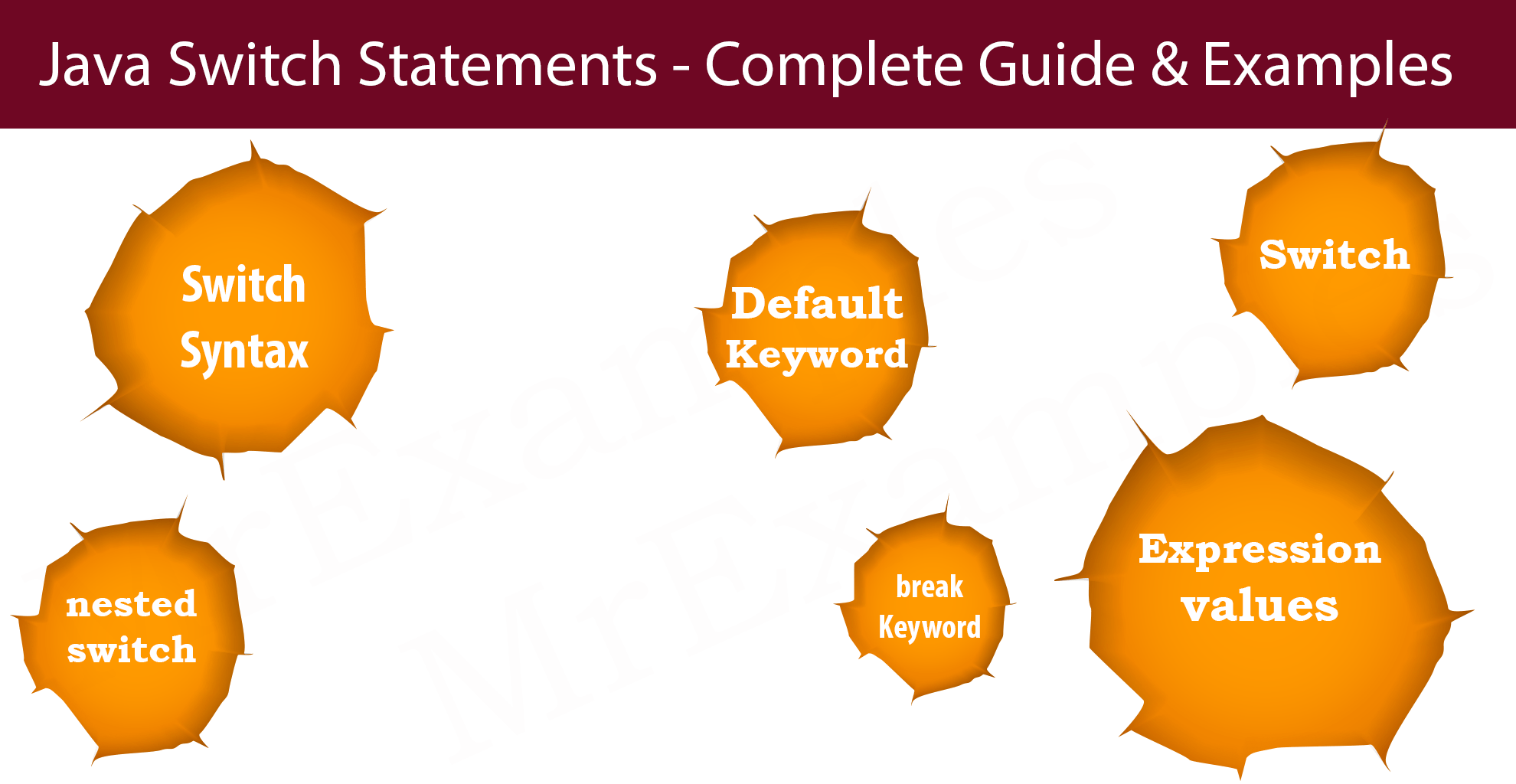 Java Switch Mr Examples