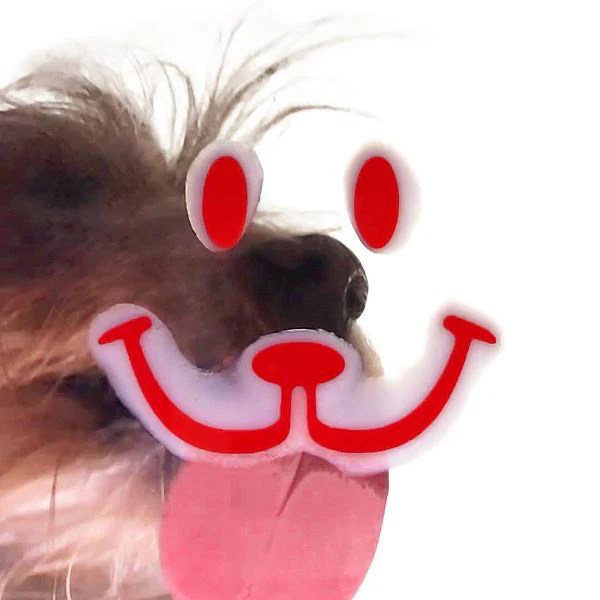 MR. FRIENDLY BedStuy Pet Supply 228 Clifton Place