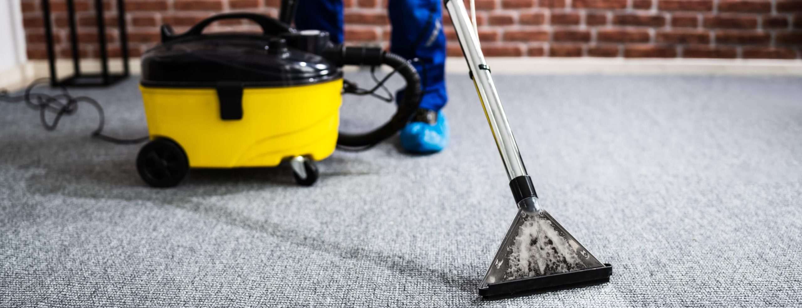 Steam carpet cleaning Mr Guru Canberra's Cleaning Experts