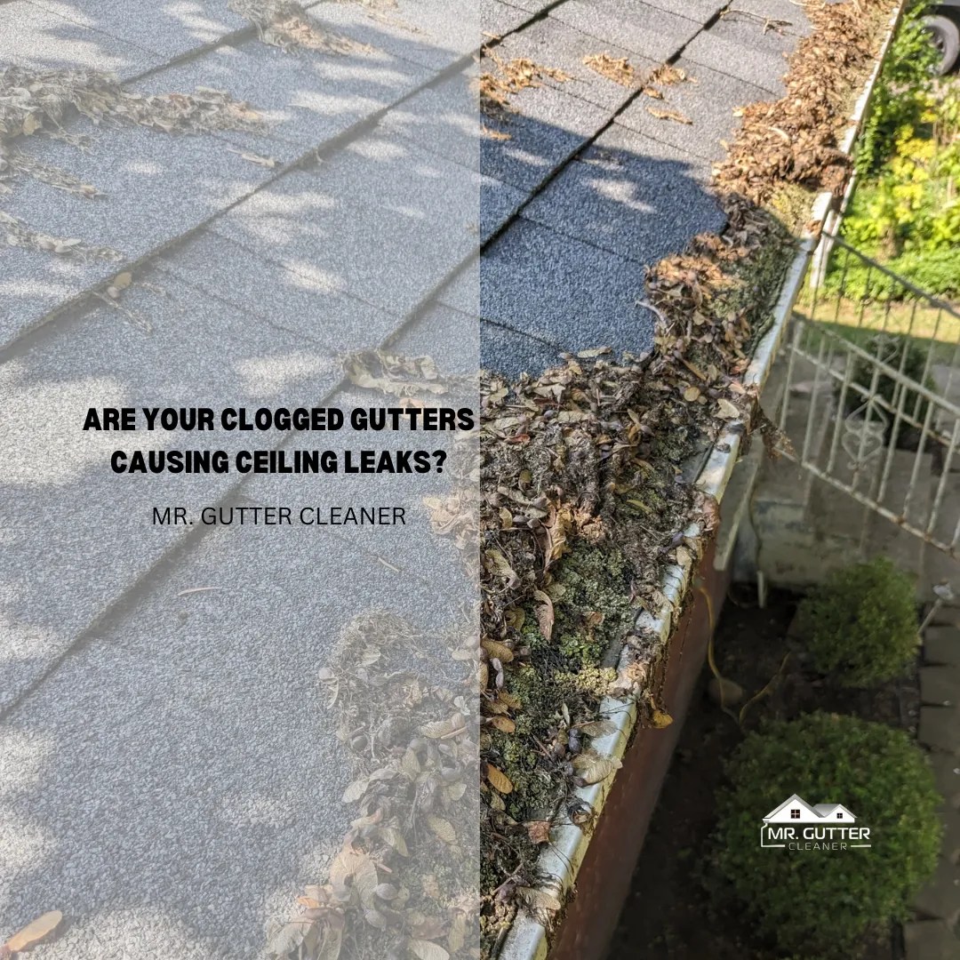 Are Your Clogged Gutters Causing Ceiling Leaks?