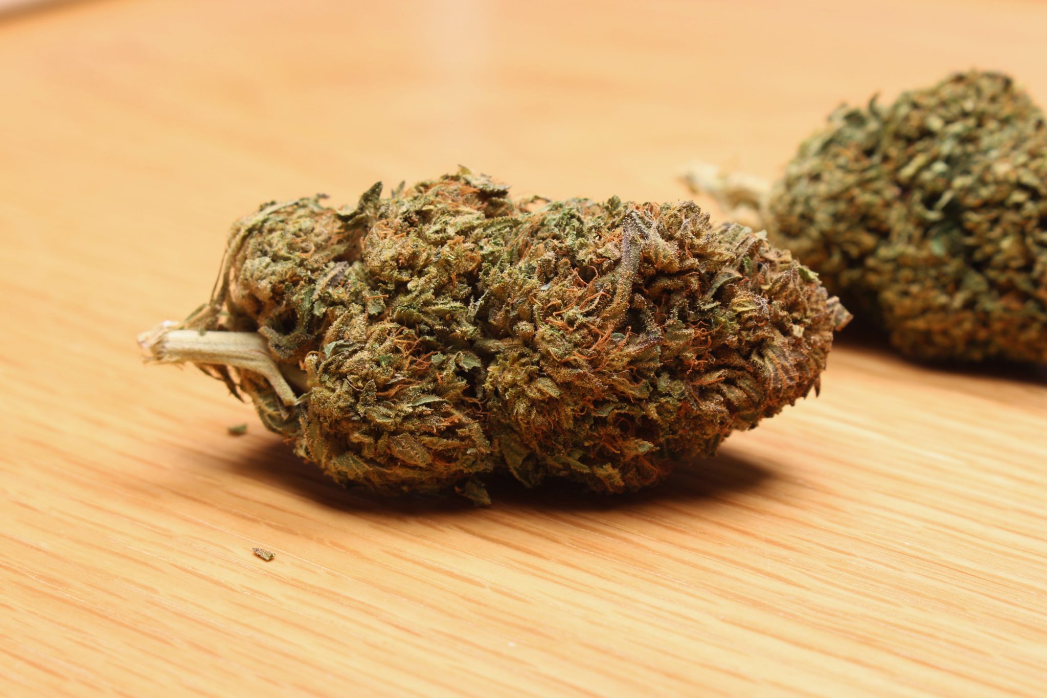 Bubba Kush review by Mr. Hemp Flower CBD Hemp Flower Strain