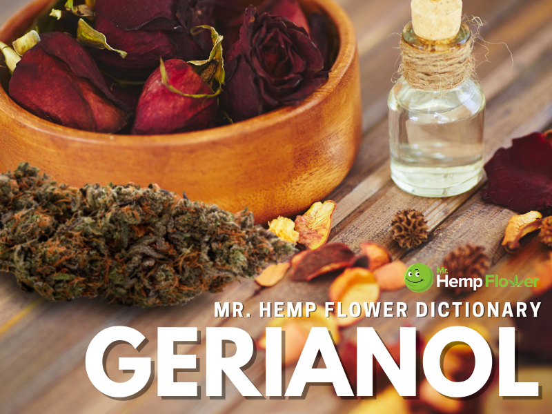 Geraniol Terpene Review What Is It And What It Does
