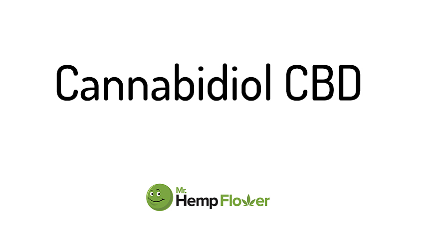 Cannabidiol CBD Does it get you high? What is it exactly?