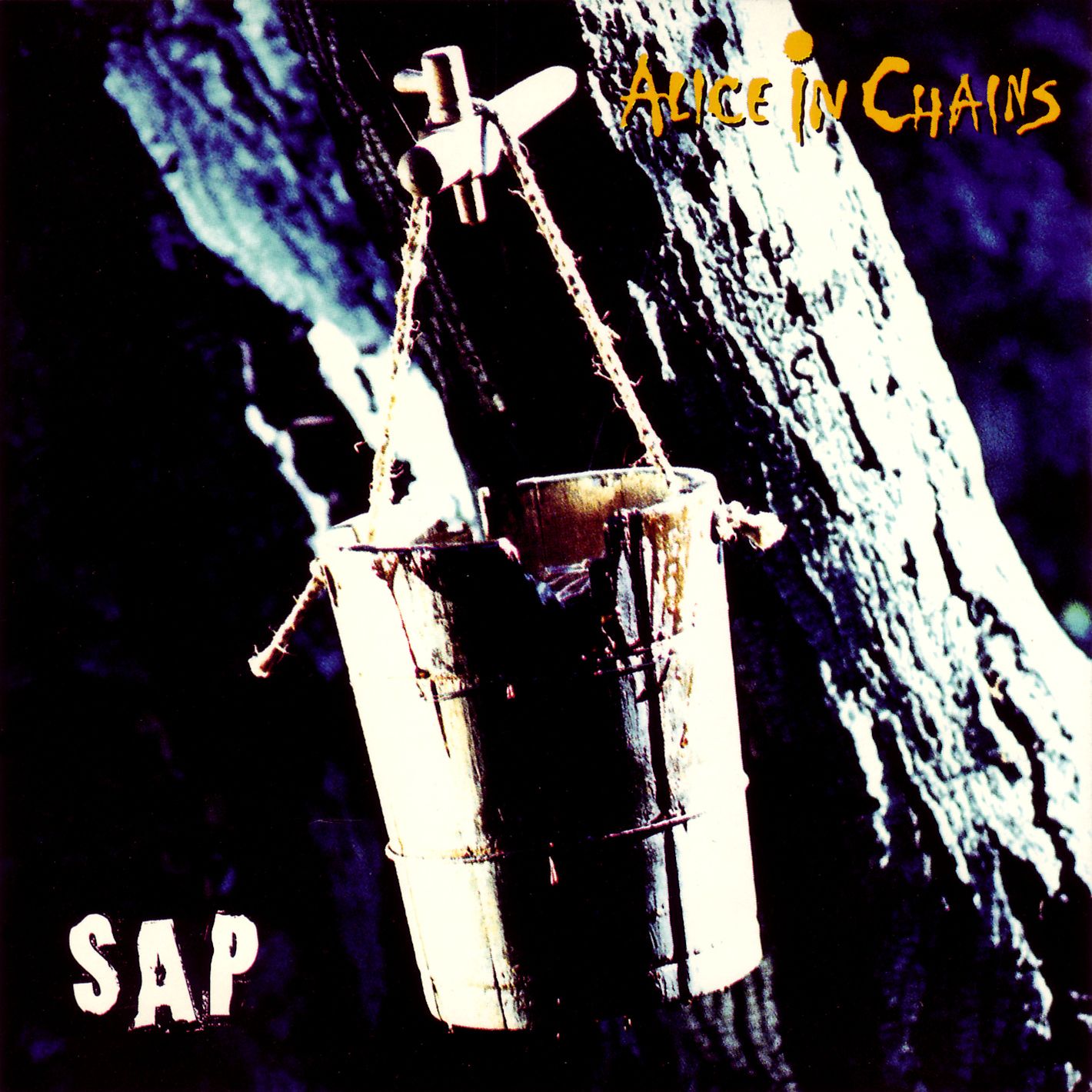 Alice In Chains SAP Mr. Hipster Album Reviews, Music