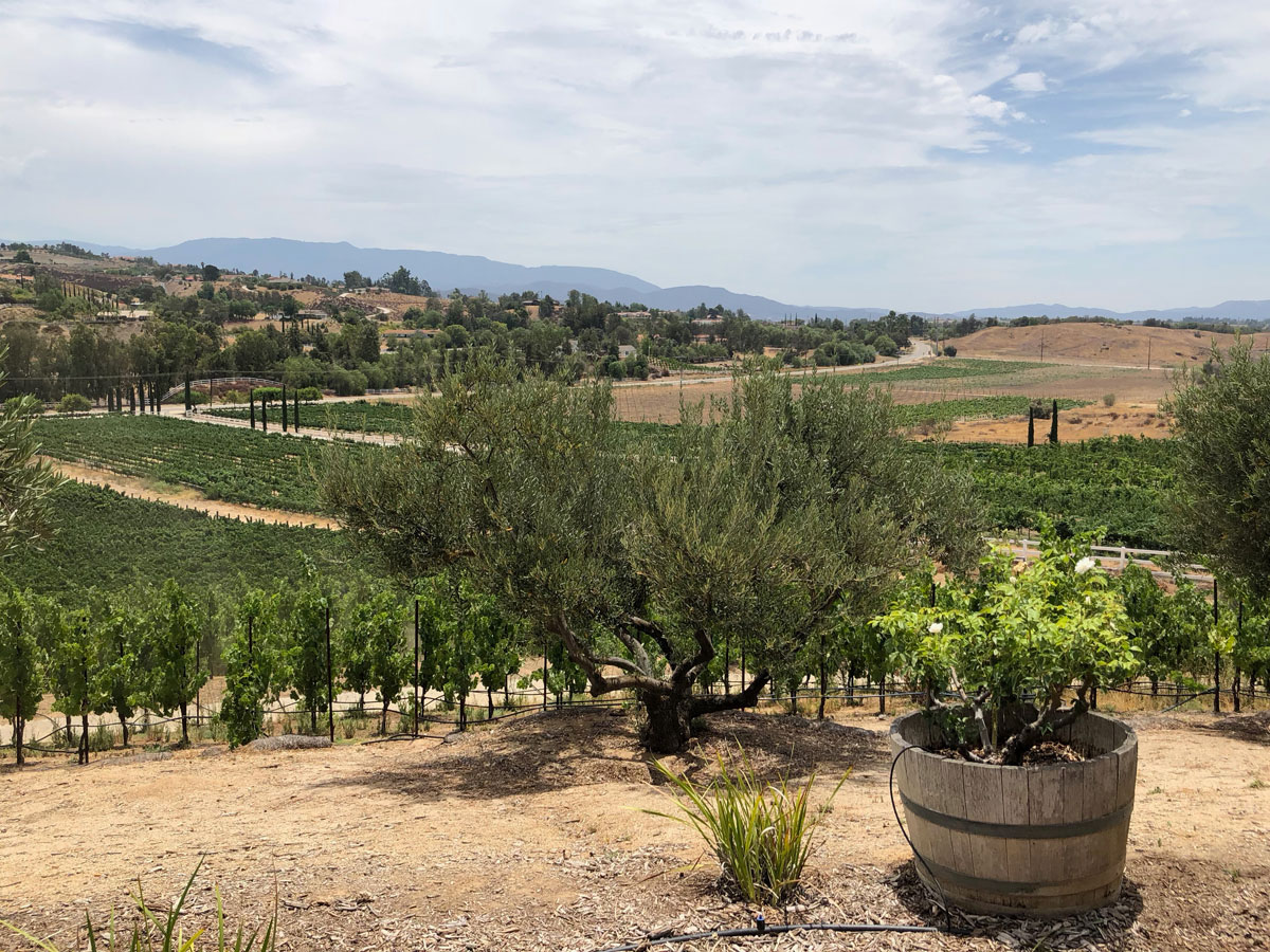 Temecula Valley Wine Country, CA Mr. Hipster Diary, Travel