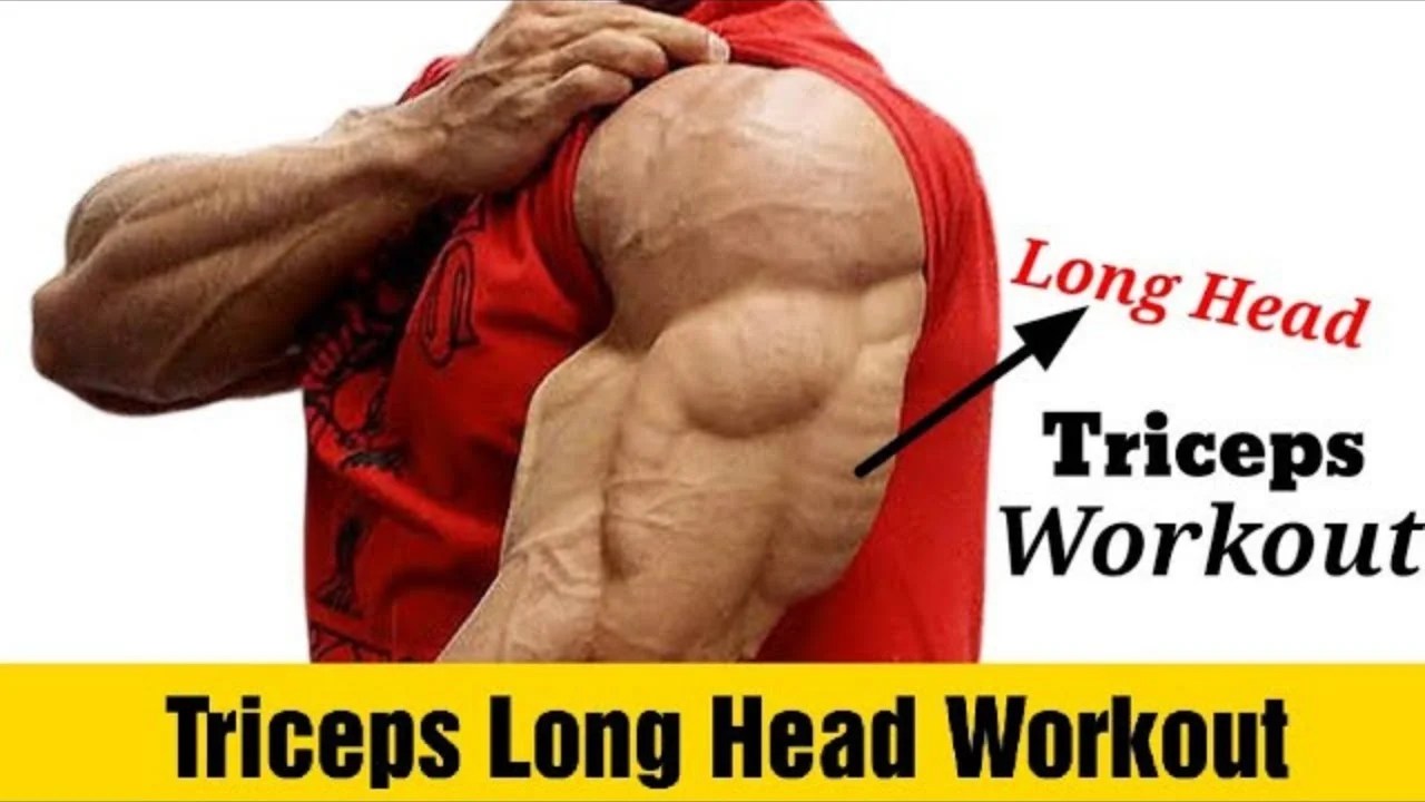 Best Long Head Tricep Exercises for Bigger, Stronger Arms