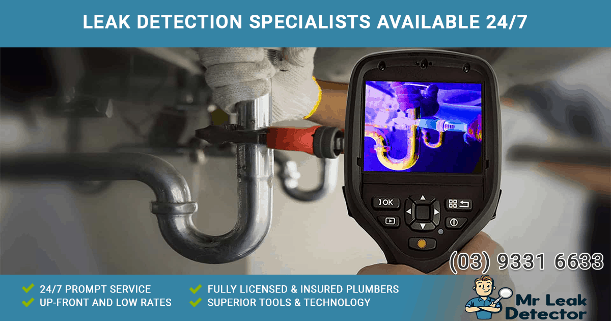 Melbourne's Most Reliable Leak Detection | Mr Leak Detector