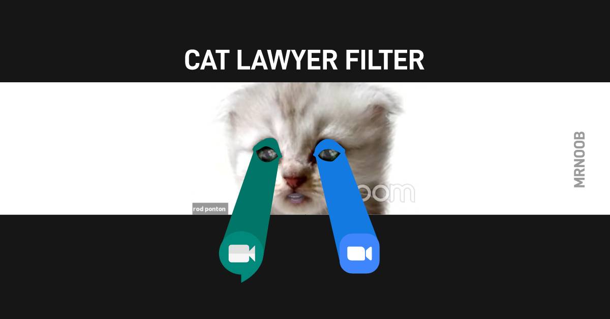 Cat filter zoom download galjenol