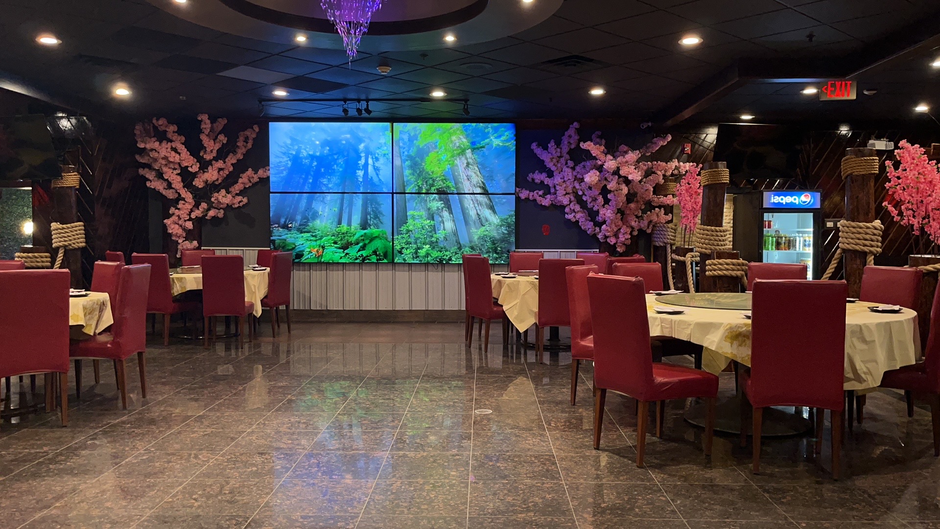 Mr.Noodle and Ms.Dumpling