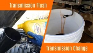Transmission Fluid vs Differential Fluid: 8 Differences - MrOilGuy