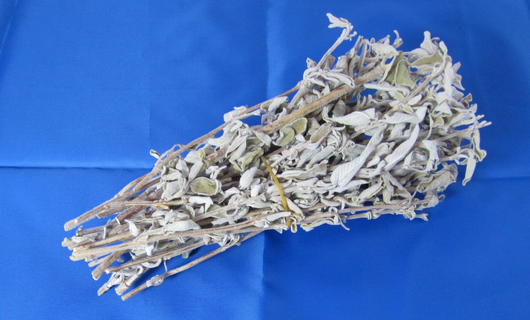 Dried Wild Sage (bunch) Mr Olive Oil