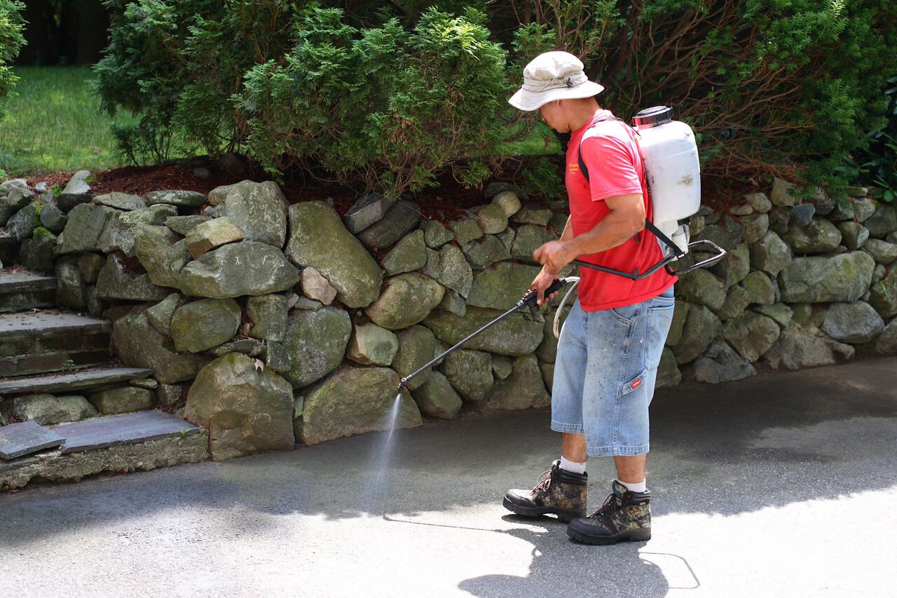 Residential Sealcoat Mr. Pothole Man