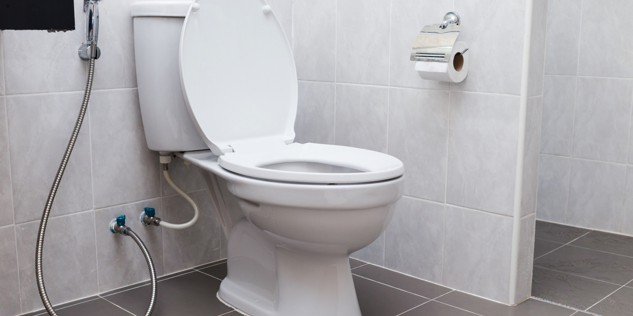 DIY Guide to Fixing a Loose Toilet Seat in Minutes MR. PRIMARY YOUR
