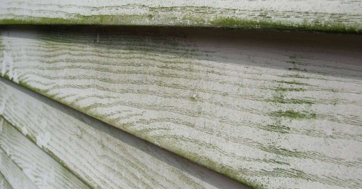 How To Prevent Green Algae On Vinyl Siding