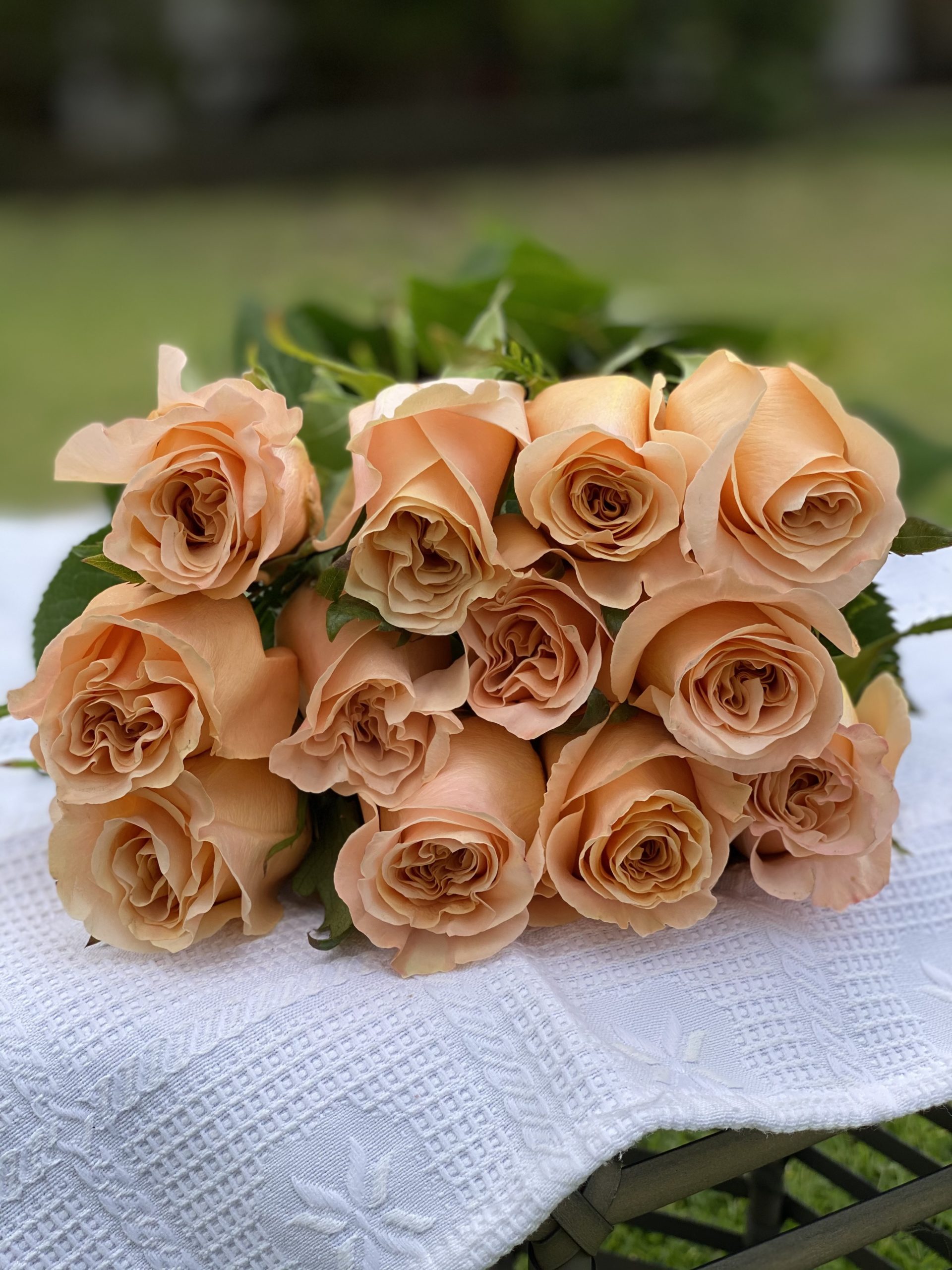 10 Dozen Roses Cost edu.svet.gob.gt