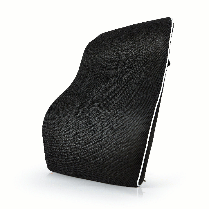 spinal support cushion