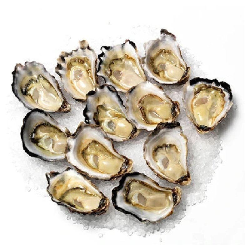 Large Sydney Rock Oysters Doz Mrs Fish