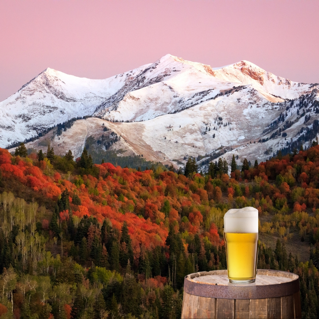 Everything You Need to Know About Beer in Utah Mr. Small Batch Brewer