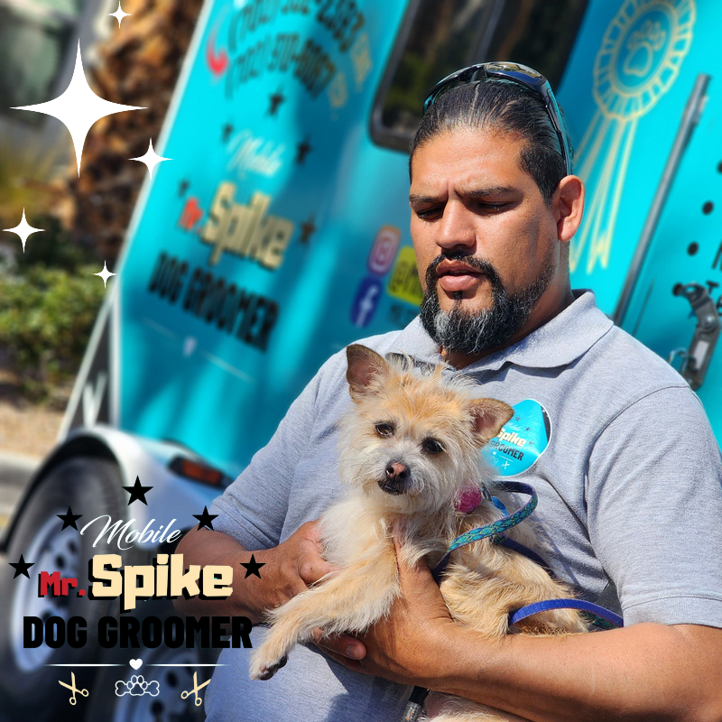 Las Vegas Dog Grooming Mobile dog groomer