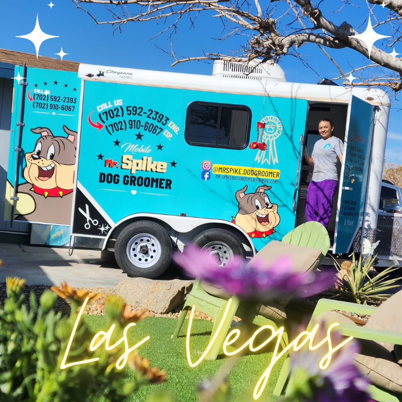 Las Vegas Dog Grooming Mobile dog groomer