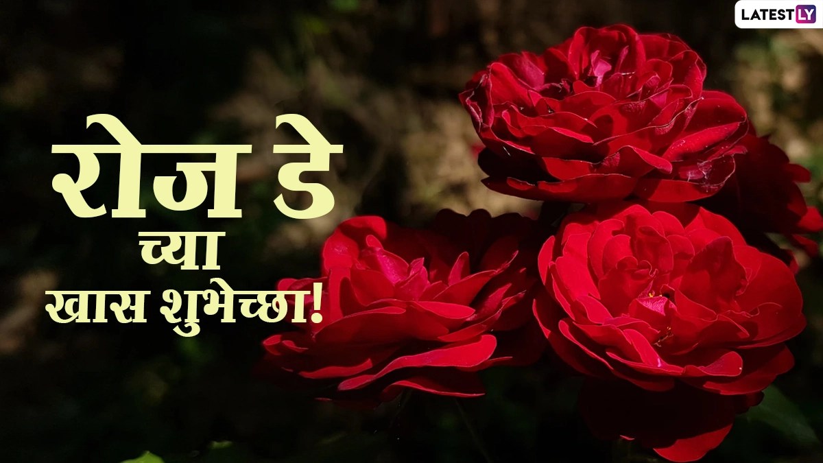 Happy Rose Day Wishes In Marathi रोज डे च्या शुभेच्छा WhatsApp Status