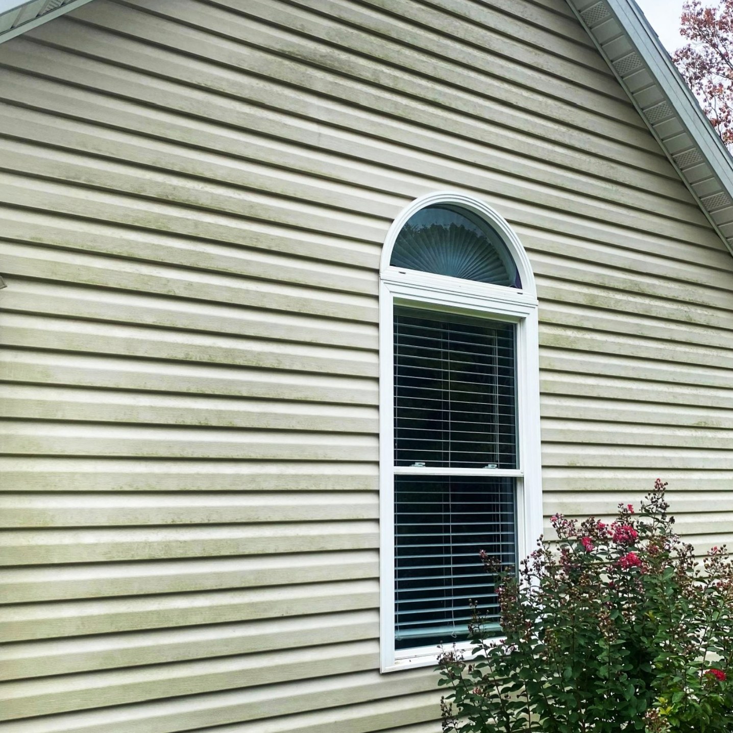 1 Evansville Power Washing Company Mr. Sudsy Mobile Wash