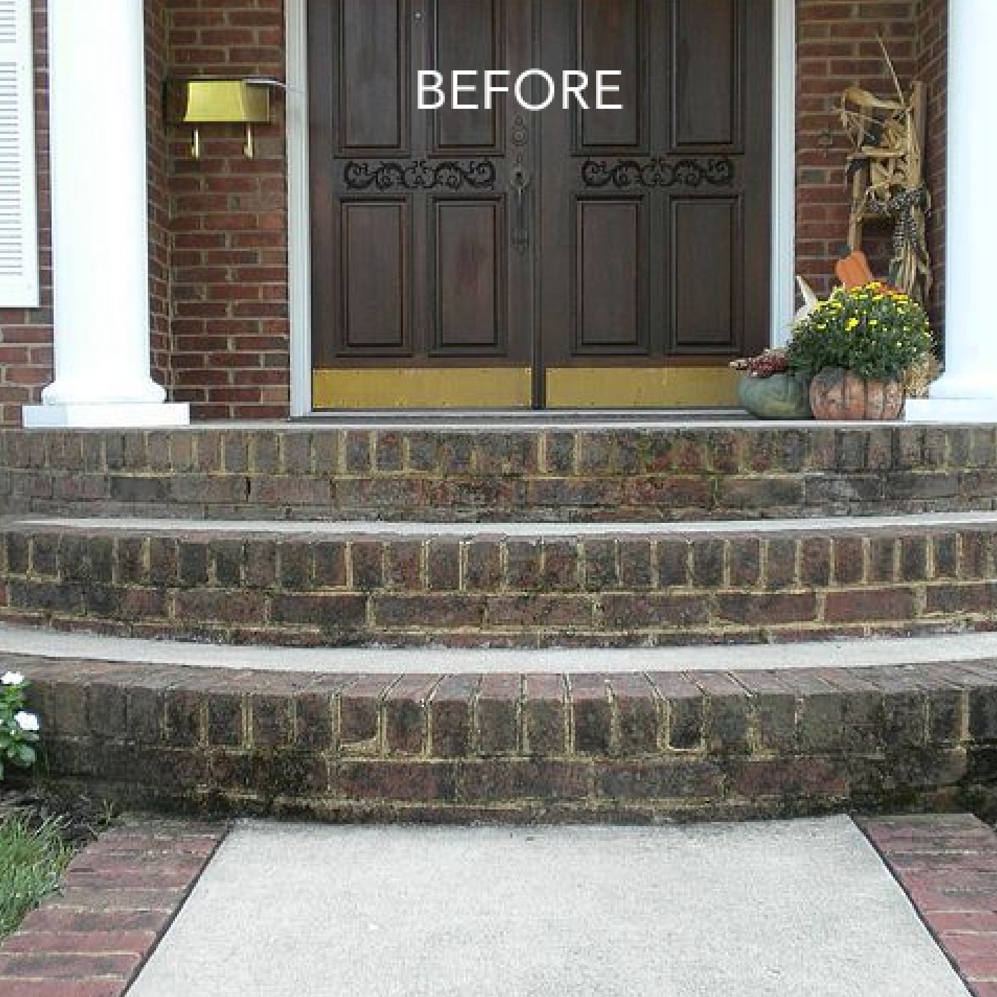 1 Evansville Power Washing Company Mr. Sudsy Mobile Wash