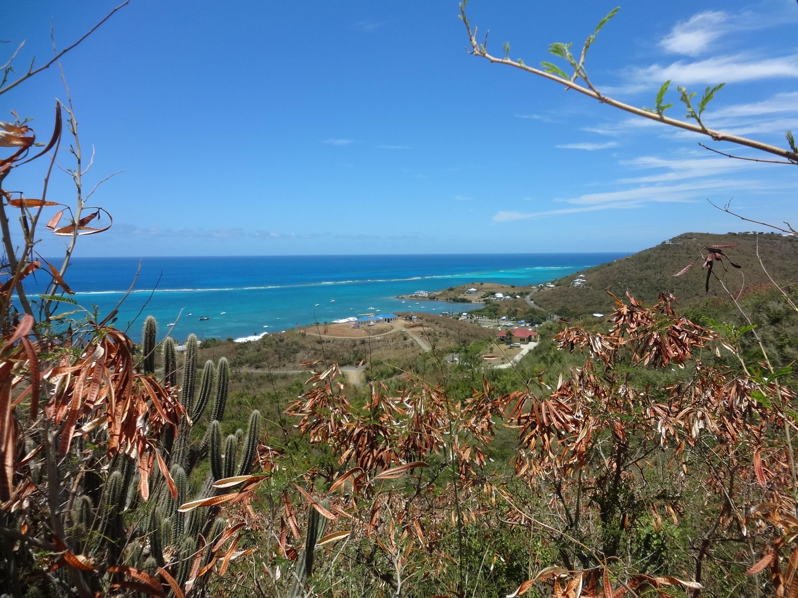 8D Teagues Bay EB, St. Croix 00820 Land for 149,000