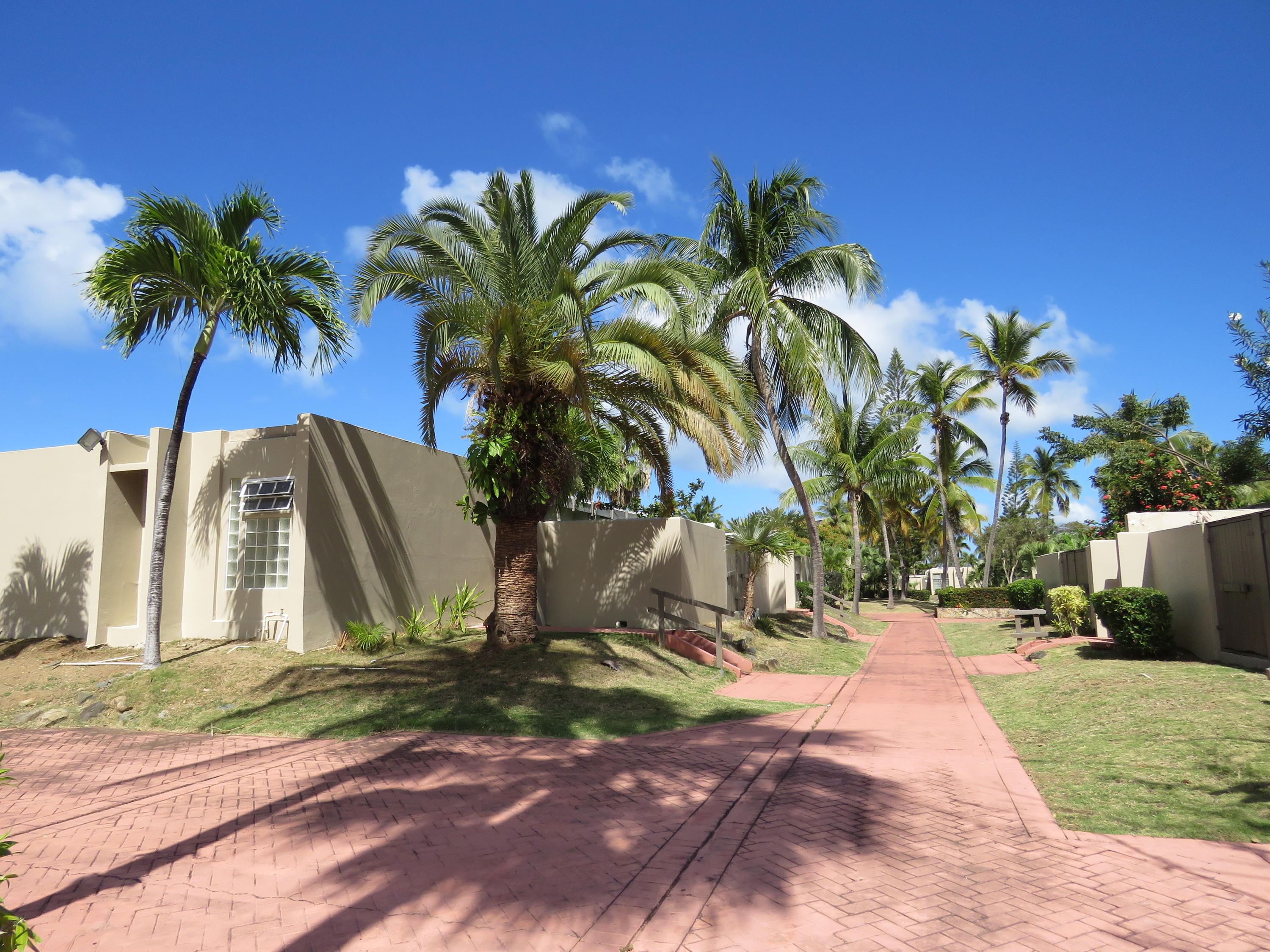 3800/1/2/3 Pineapple Village, St. Thomas 00802 Condo for 250,000