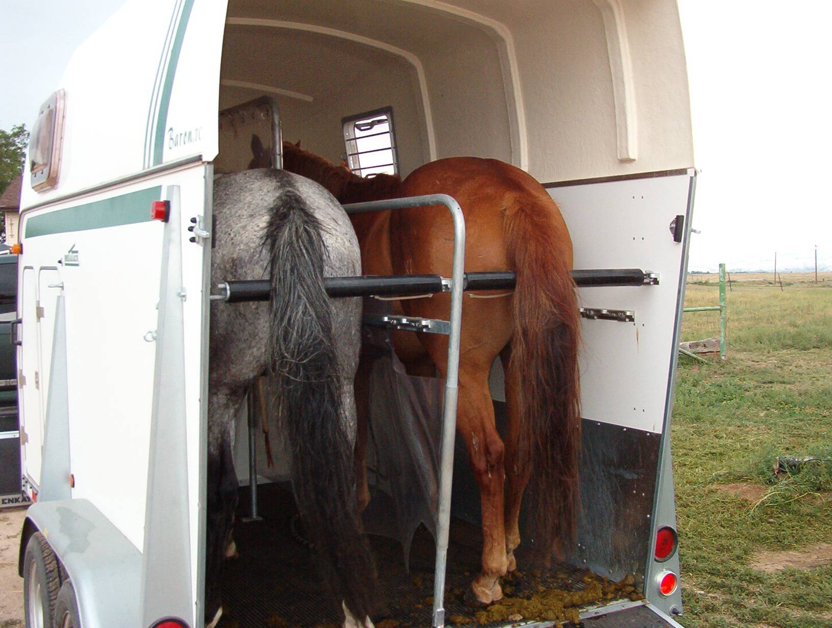 "Brenderup Horse Trailers, the best towing trailer I've found, easy to
