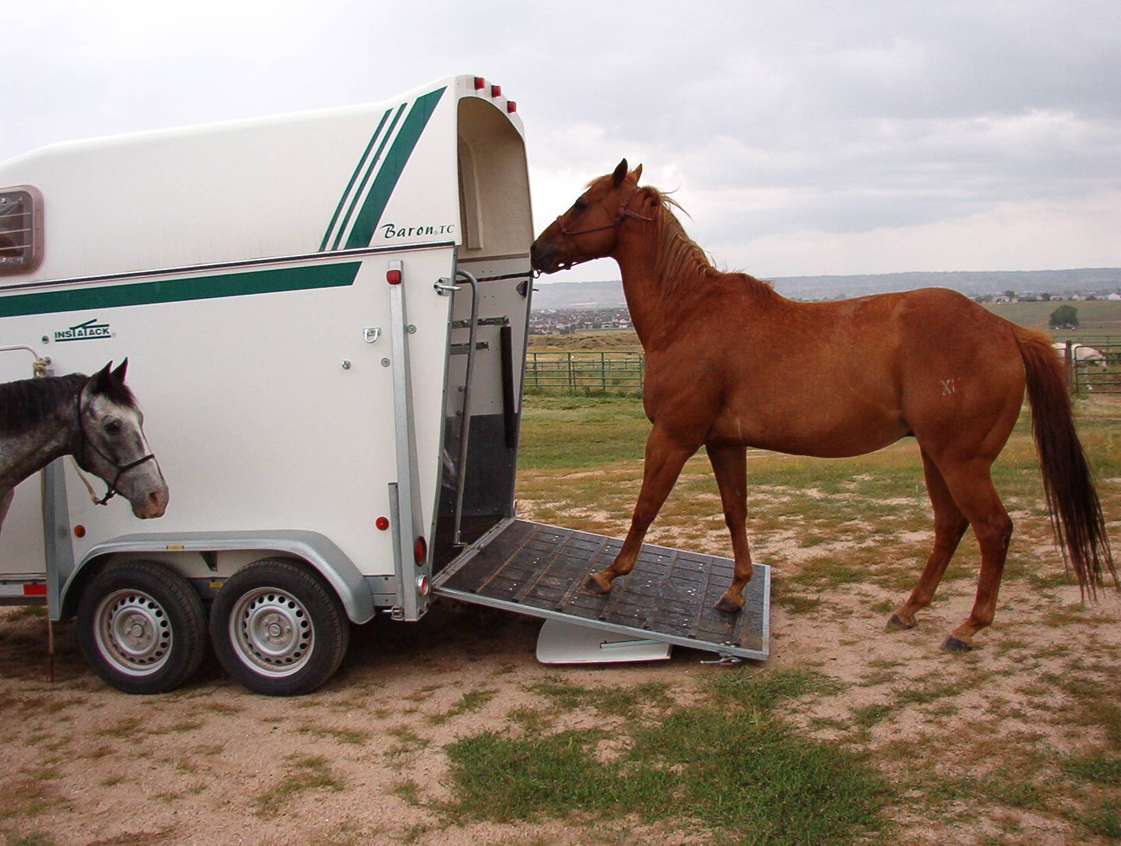 "Brenderup Horse Trailers, the best towing trailer I've found, easy to