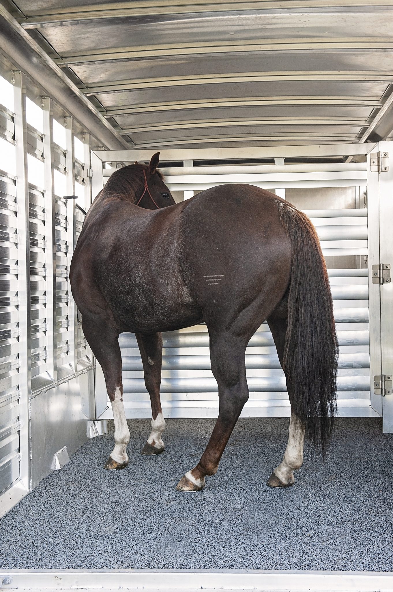 Equalizer Systems Trailer Jacks, Smooth Hydraulic Lift for Horse Trailers
