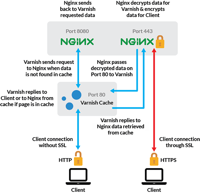 Magento 2 Nginx Varnish Full page cache backend / admin