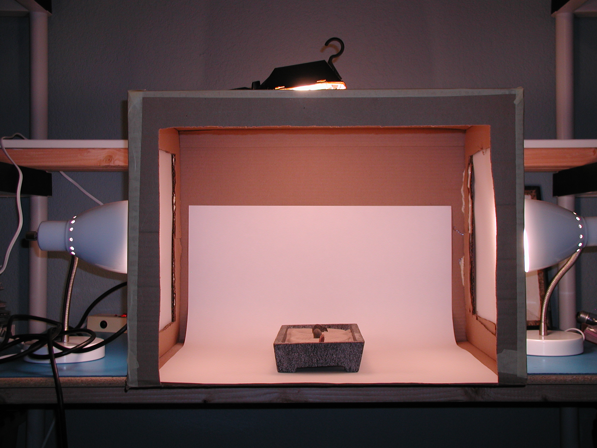 Macro Photo Studio 1.1 Words of Wisdom by MrWes