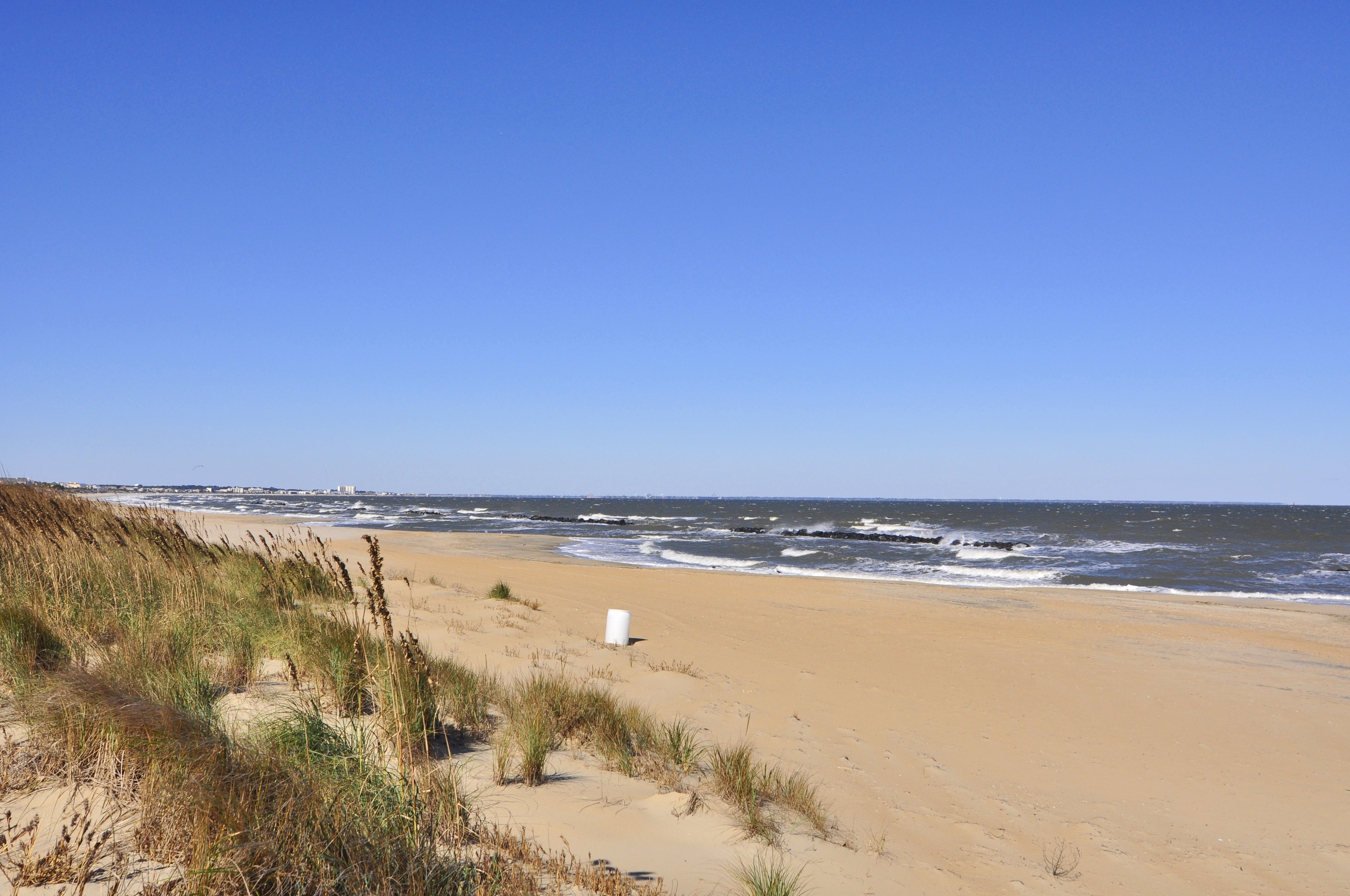 beach view — Mr Williamsburg