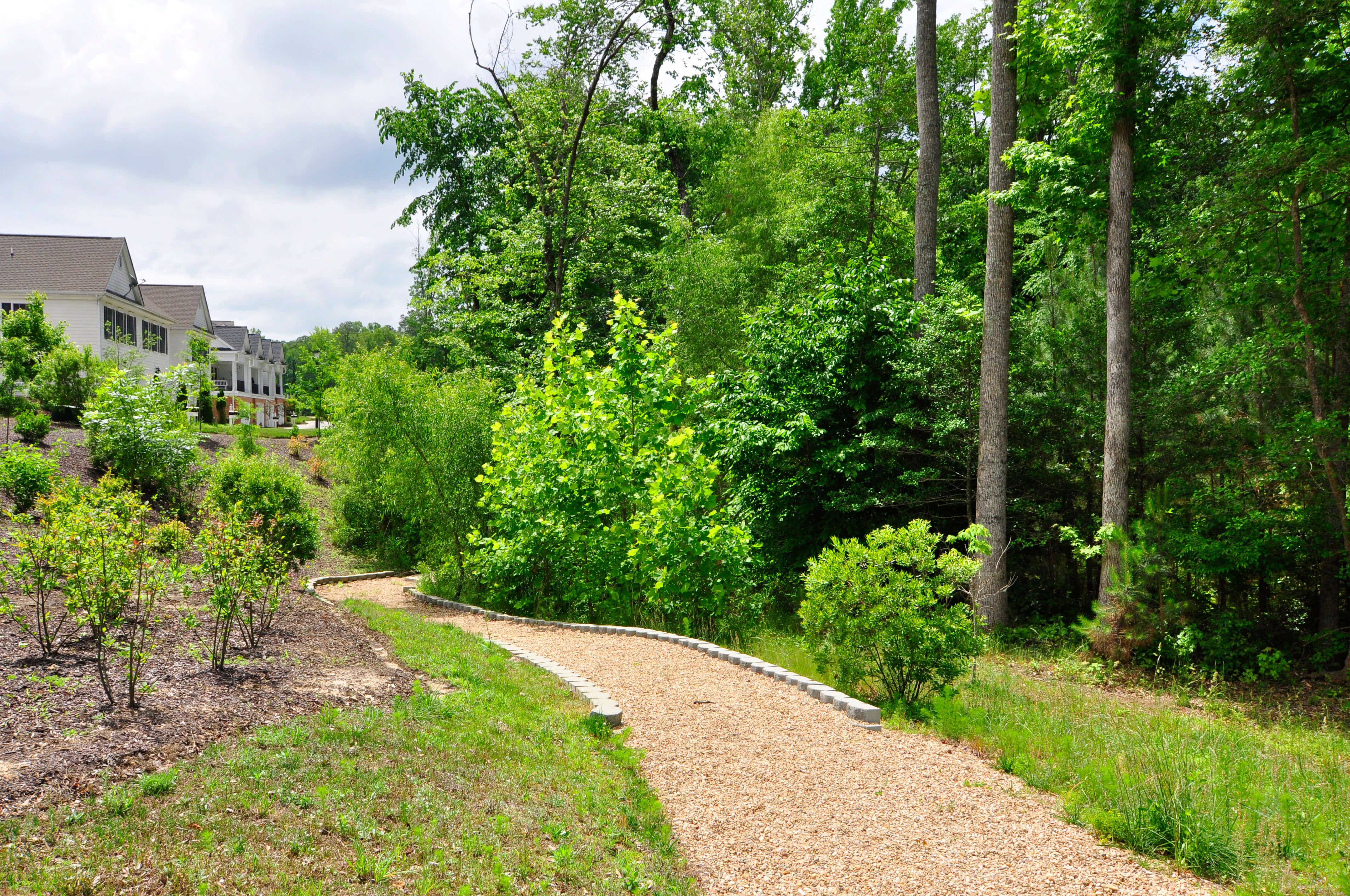 trail2 Mr. Williamsburg