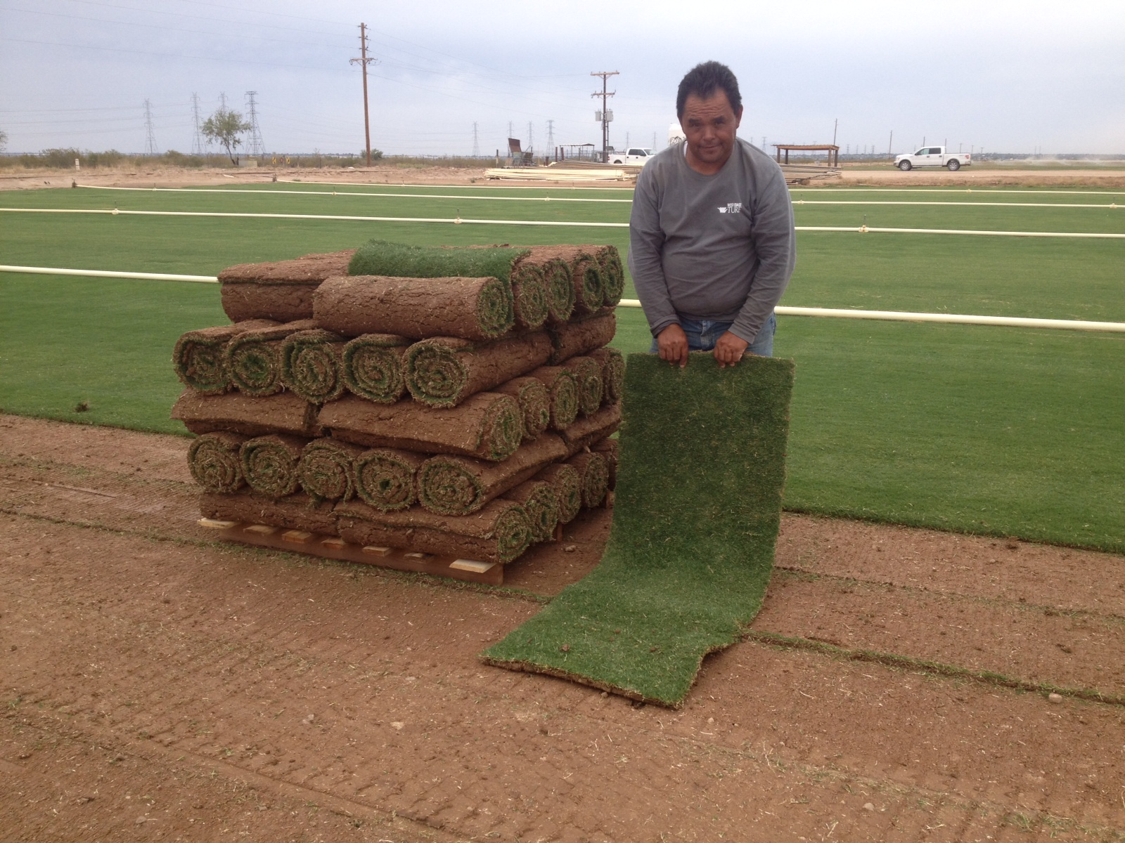 Soil Prep/Lawn Establishment Mr. WiseGrassArizona Sod & California