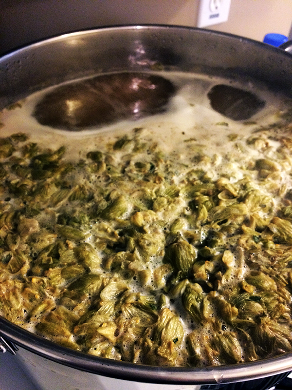 boil - Mr. Wizard's Hops