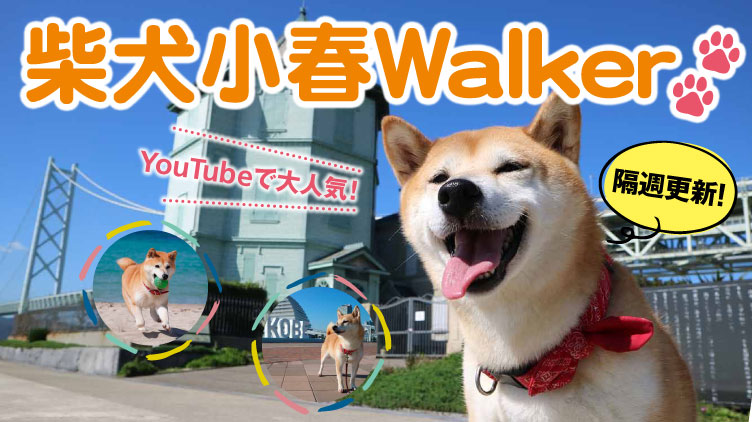 【印刷可能】 犬とお出かけ 関西 日帰り 250882犬とお出かけ 関西 日帰り