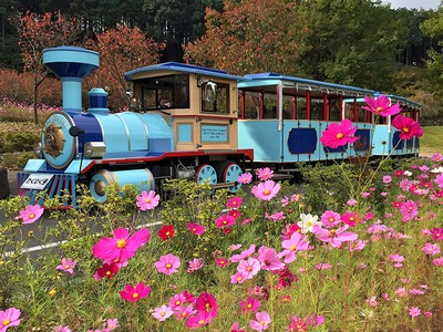 小田原☆こどもの森公園わんぱくらんど 』熱海、湯河原、小田原、真鶴周辺の体験まとめ Byemaさん | 子供とお出かけ情報「いこーよ」 小田原こどもの森公園わんぱくらんど(神奈川県)の情報｜ウォーカープラス