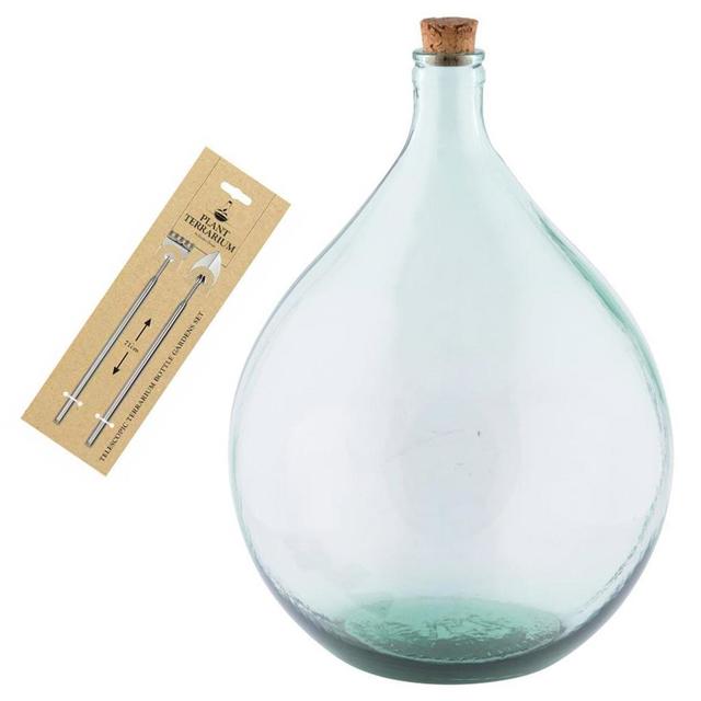 Buy Large Bottle Terrariums — The Worm that Turned revitalising your